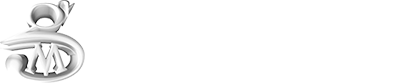 Graphic Minds - identity  •  design  •  web development